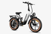 LUCKEEP X3 20" Cargo Electric Bike 750W(1400W Peak) Motor 48V 20Ah Battery